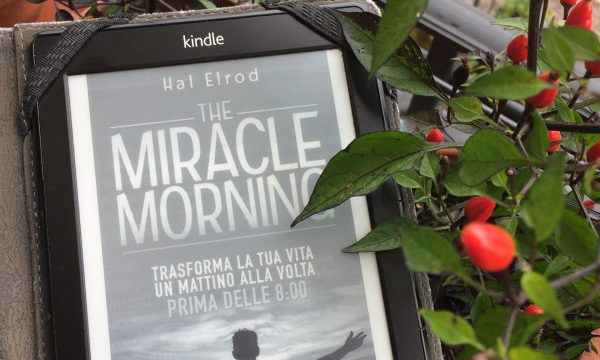 The miracle morning – Hal Elrod